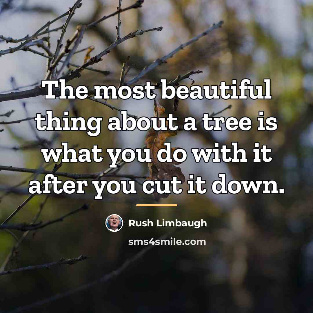 “The most beautiful thing about a tree is what you…” quote by Rush Limbaugh