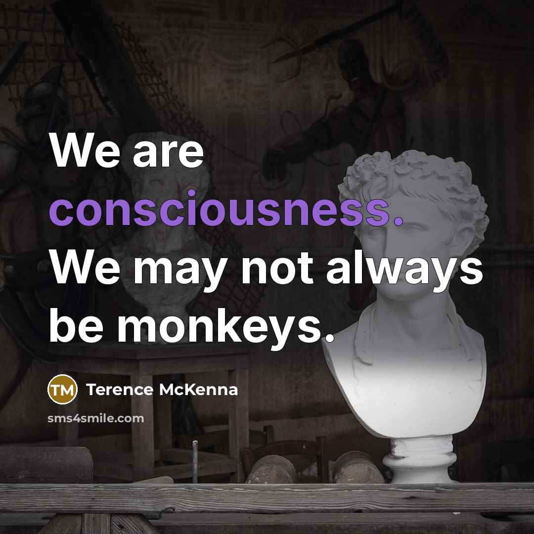 “We are consciousness. We may not always be monkeys.…” quote by Terence McKenna