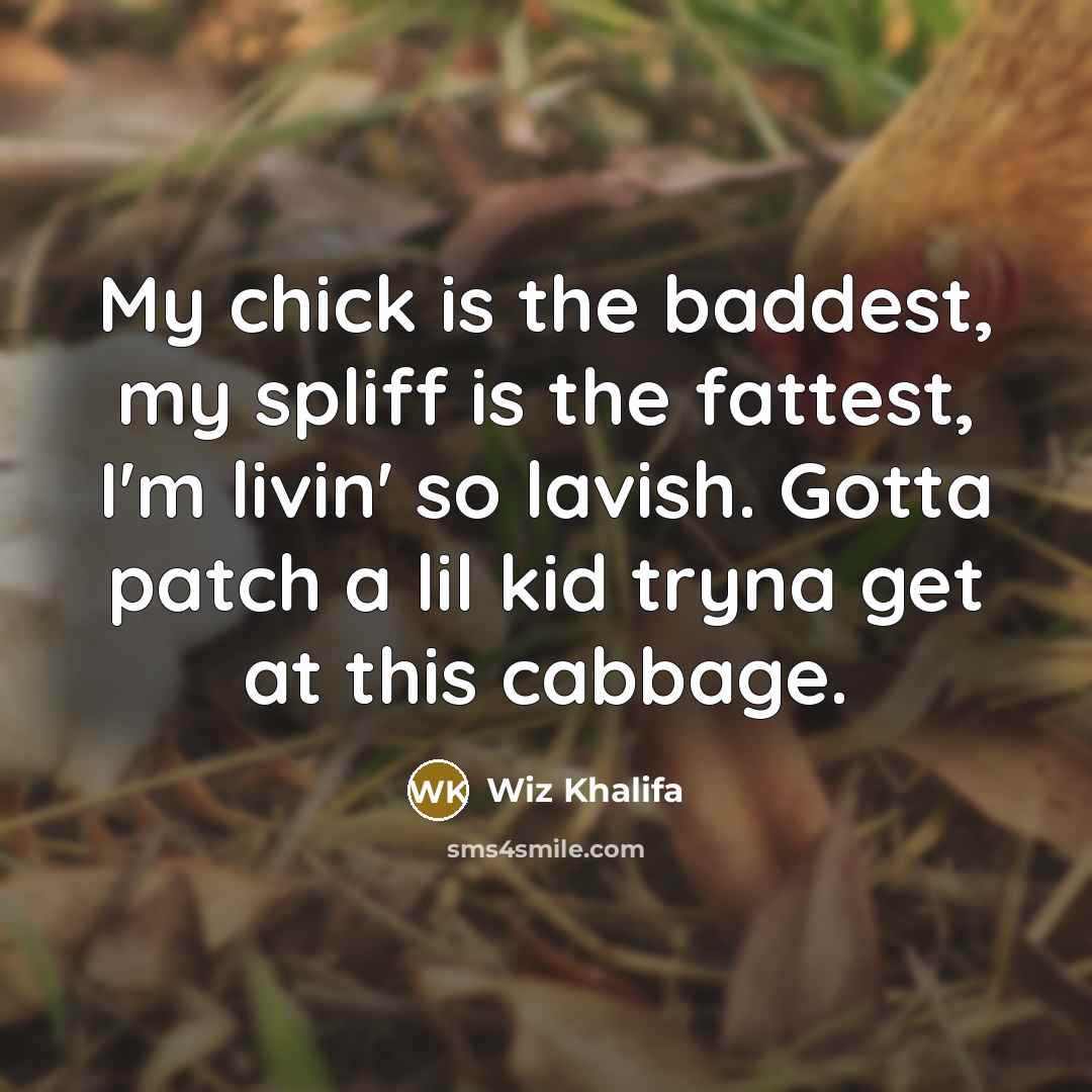“My chick is the baddest, my spliff is the fattest,…” quote by Wiz Khalifa