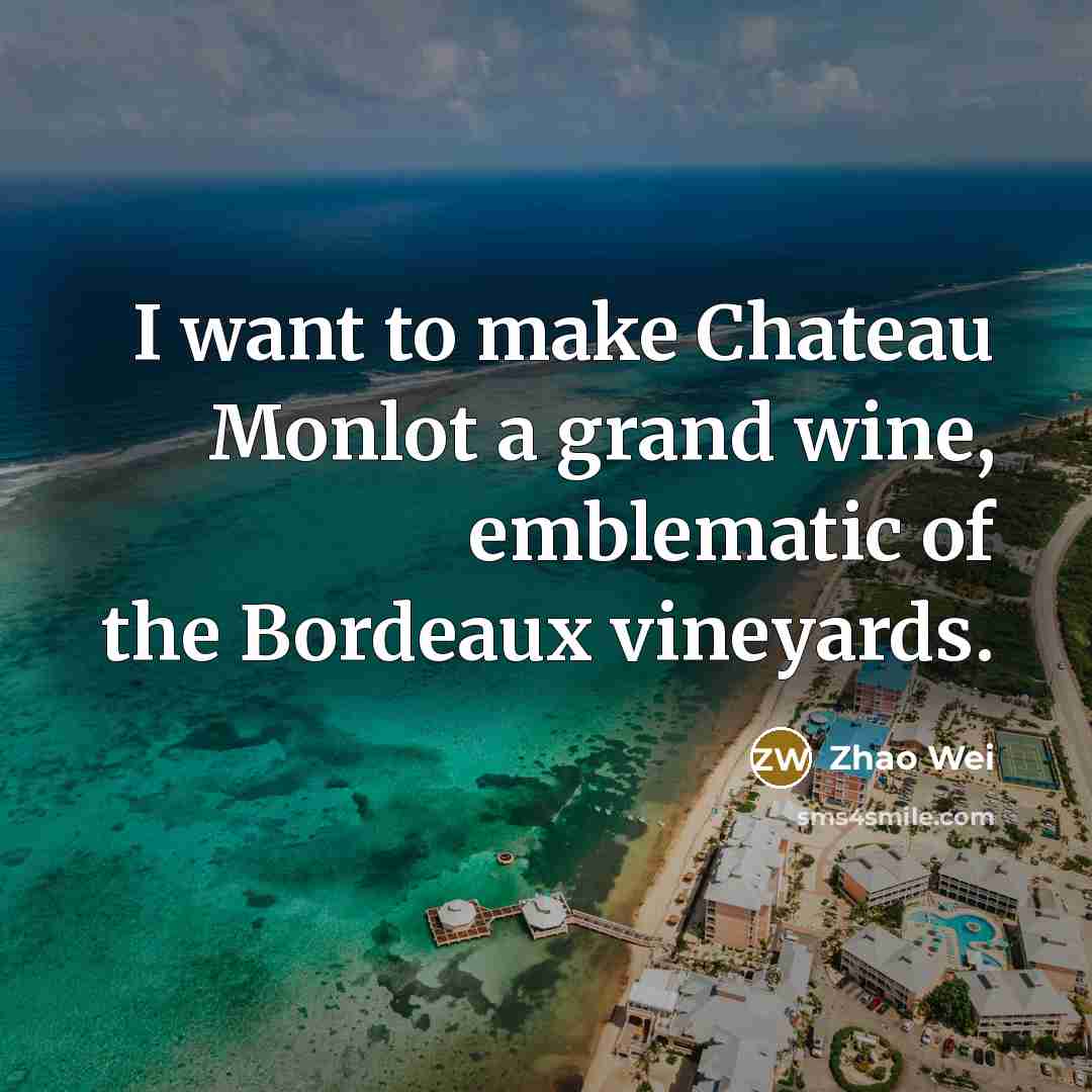 “I want to make Chateau Monlot a grand wine, emblematic…” quote by Zhao Wei