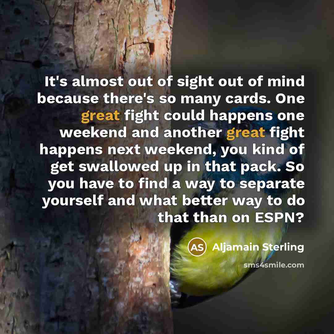 “It's almost out of sight out of mind because there's…” quote by Aljamain Sterling