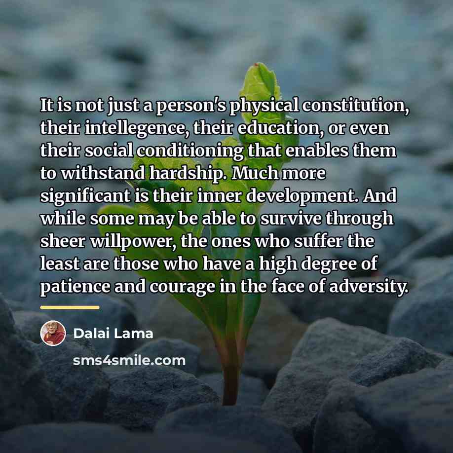 “It is not just a person's physical constitution, their intellegence,…” quote by Dalai Lama