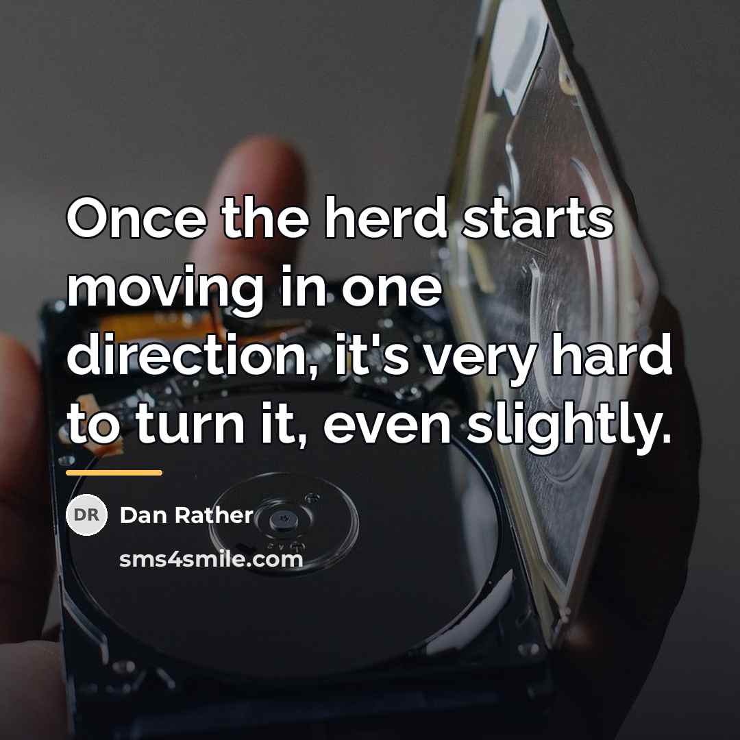 “Once the herd starts moving in one direction, it's very…” quote by Dan Rather