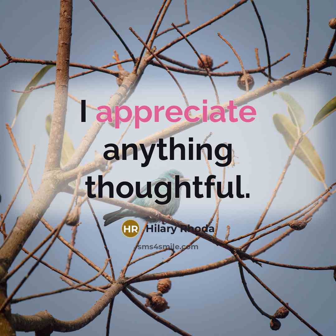 “I appreciate anything thoughtful.…” quote by Hilary Rhoda
