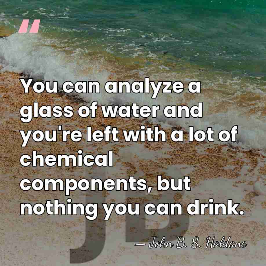You can analyze a glass of water and you're left with a&hellip; - John B. S. Haldane
