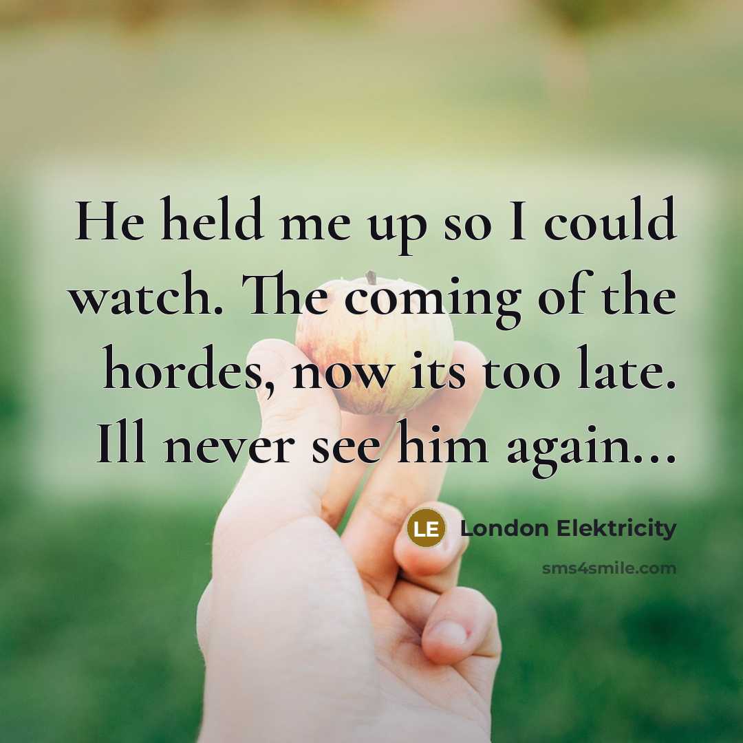 “He held me up so I could watch. The coming of the hordes, now its too late. Ill never see him again...” quote by London Elektricity