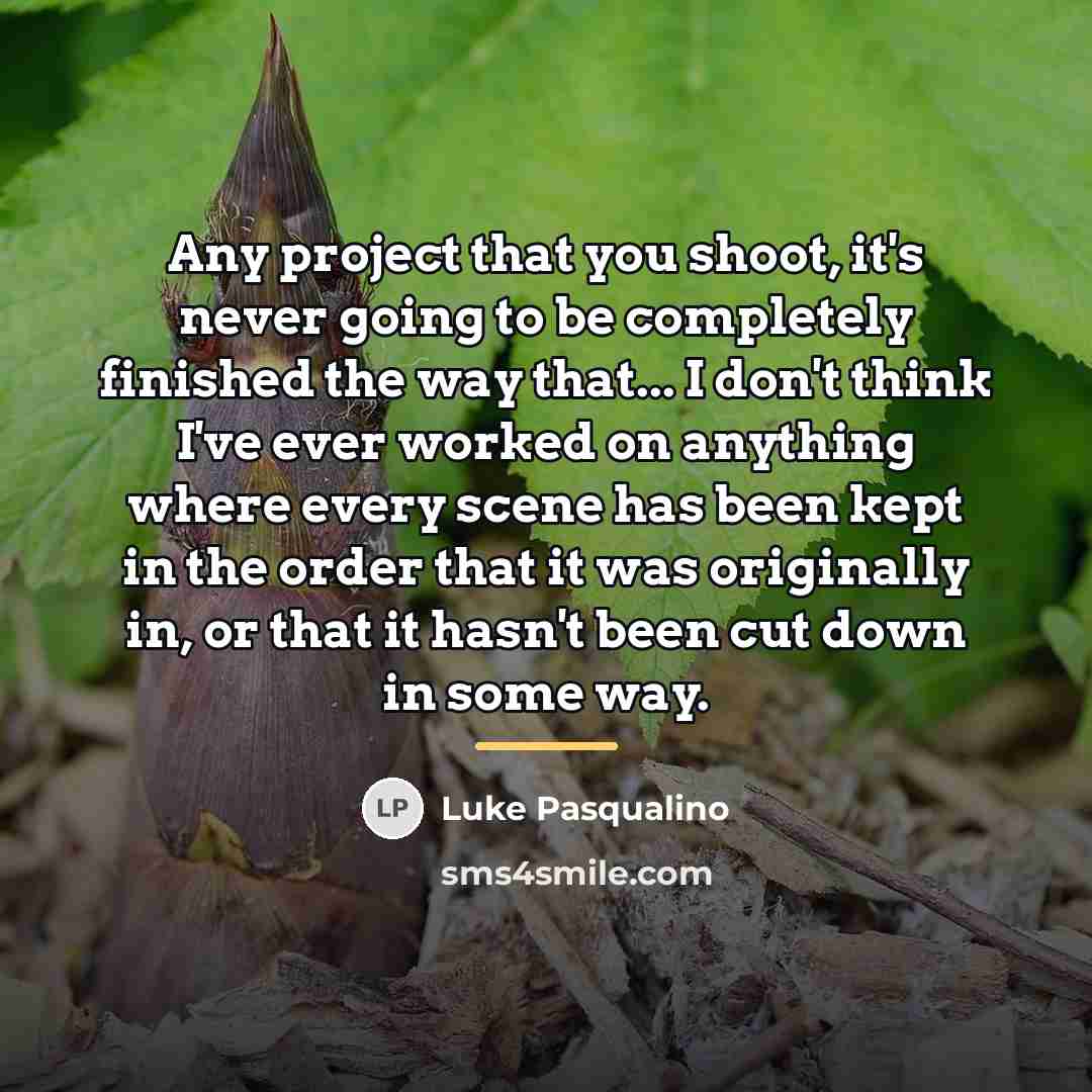 “Any project that you shoot, it's never going to be…” quote by Luke Pasqualino