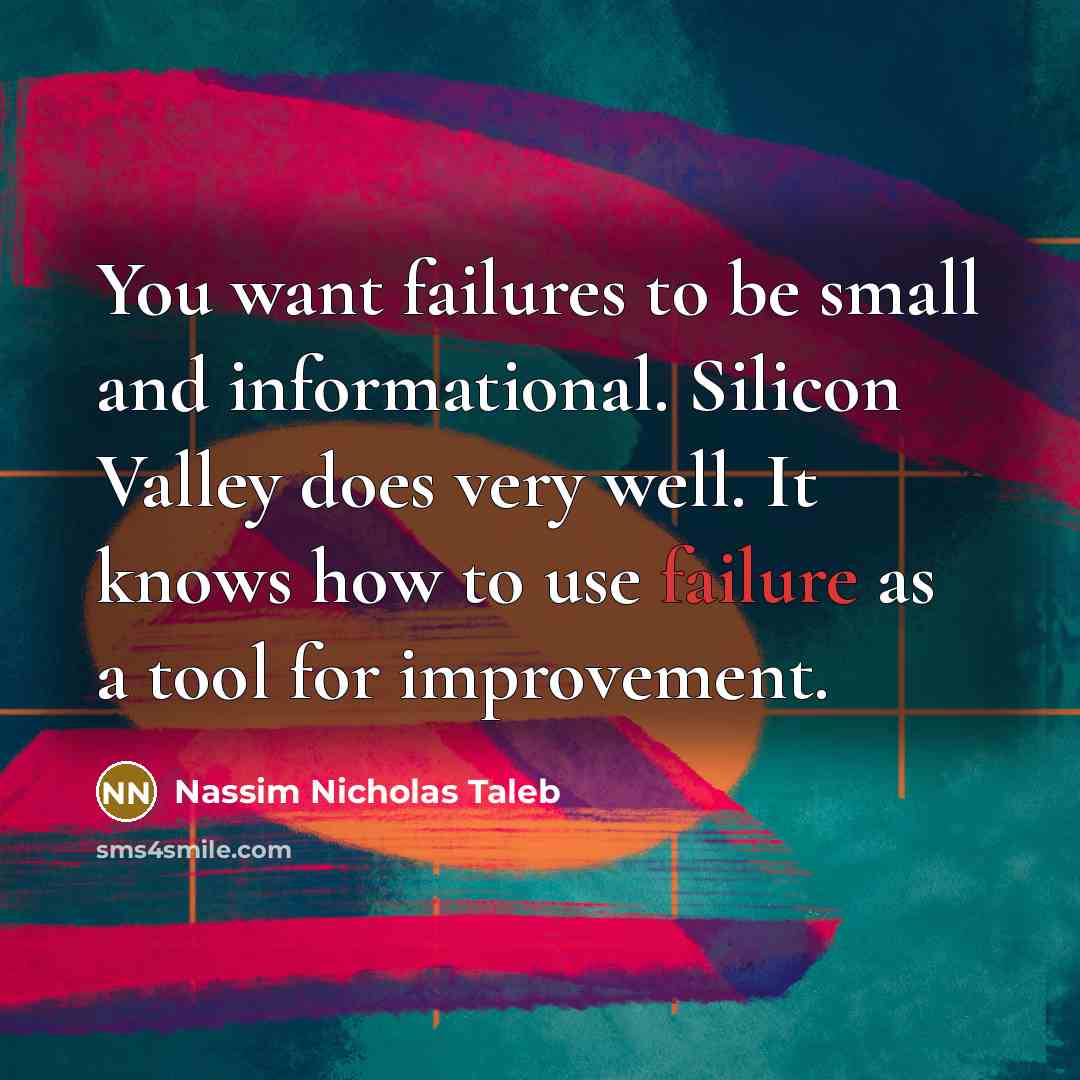 “You want failures to be small and informational. Silicon Valley…” quote by Nassim Nicholas Taleb