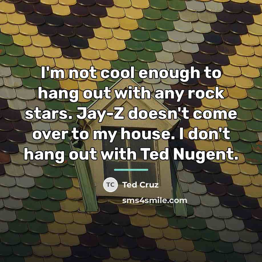 “I'm not cool enough to hang out with any rock…” quote by Ted Cruz