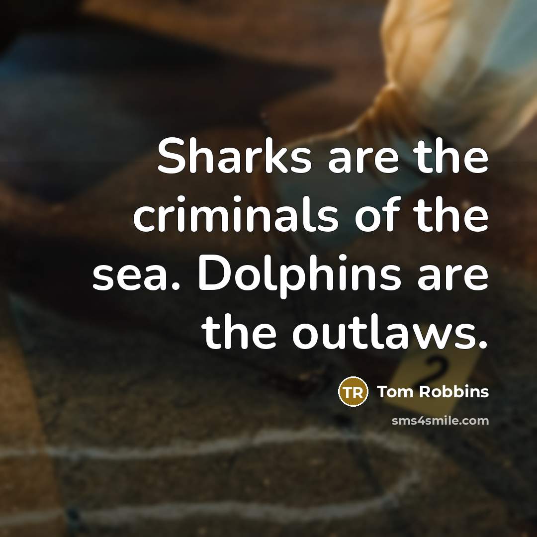 “Sharks are the criminals of the sea. Dolphins are the…” quote by Tom Robbins