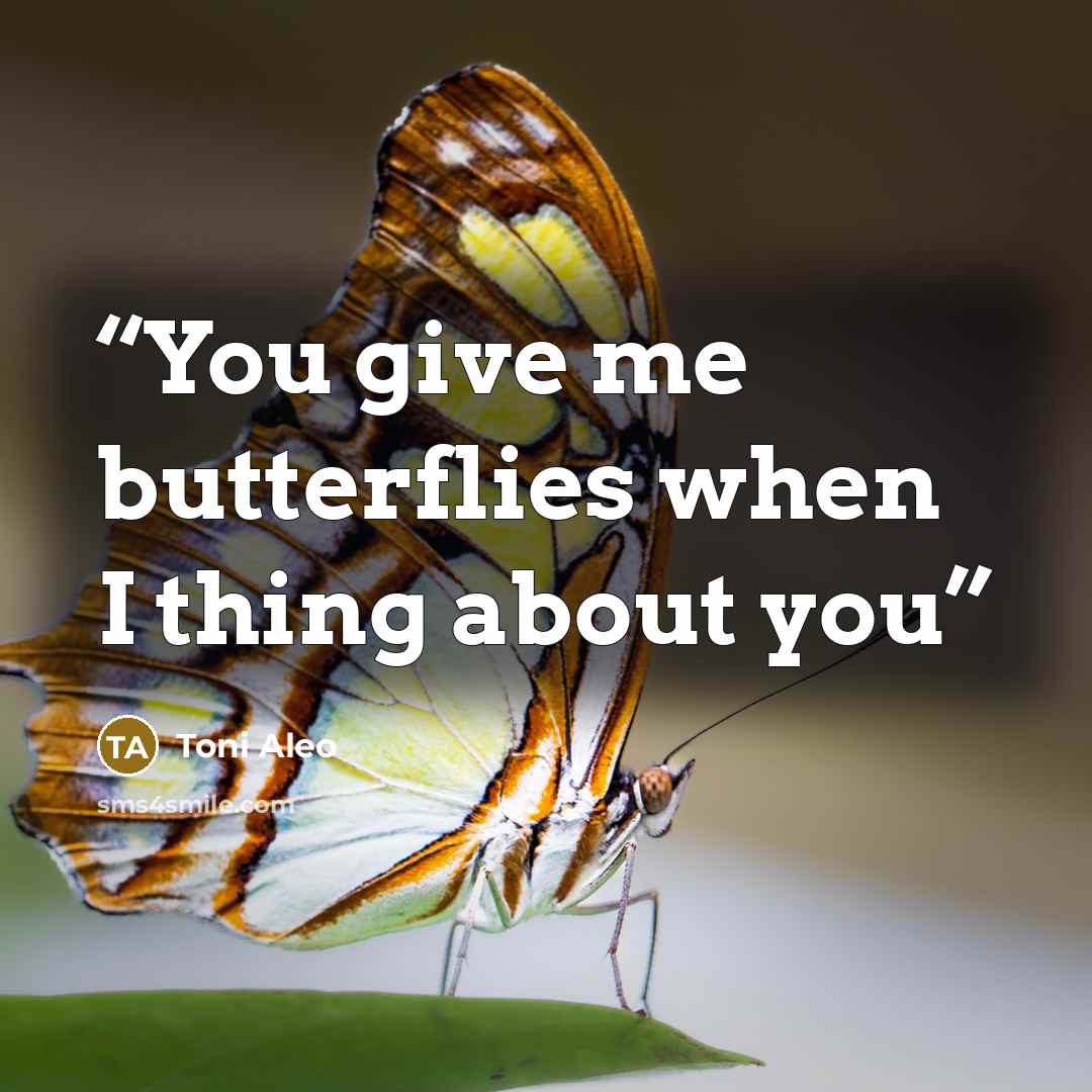 “You give me butterflies when I thing about you” quote by Toni Aleo