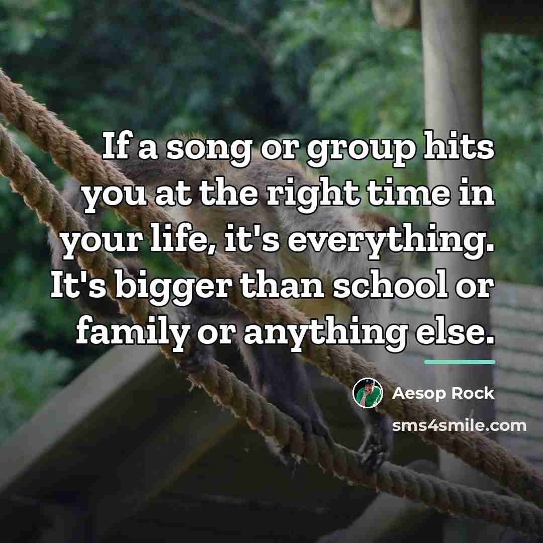 “If a song or group hits you at the right…” quote by Aesop Rock