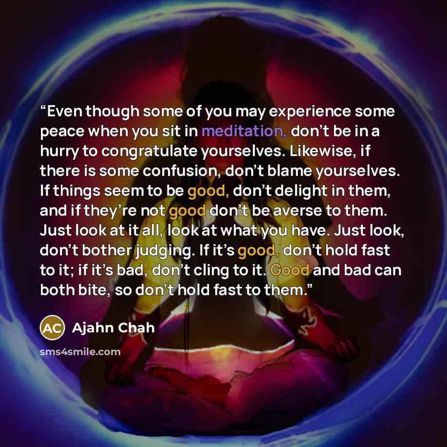 “Even though some of you may experience some peace when you sit in meditation, don’t be in a hurry to congratulate yourselves. Likewise, if there is some confusion, don’t blame yourselves. If things seem to be good, don’t delight in them, and if they’re not good don’t be averse to them. Just look…” quote by Ajahn Chah