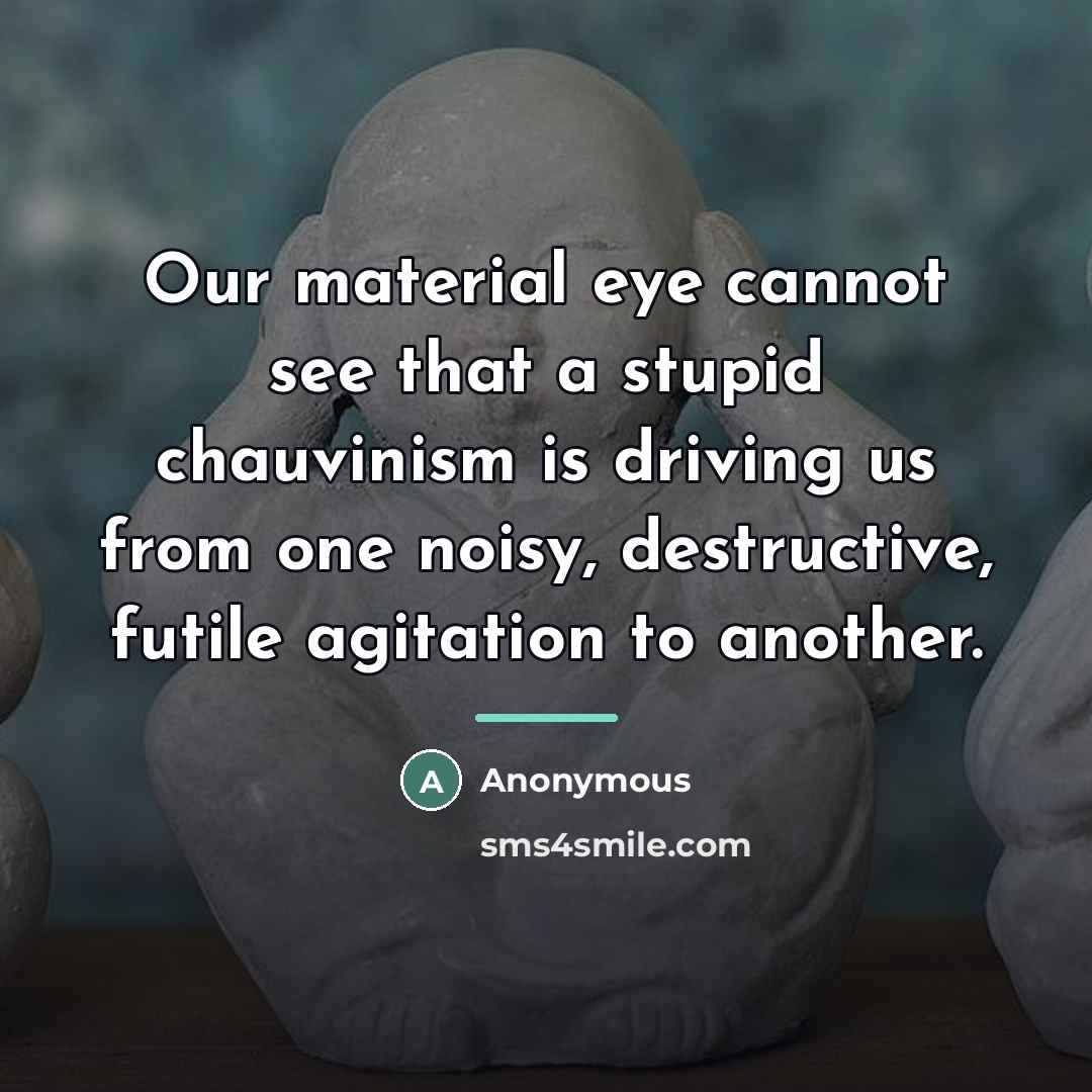 “Our material eye cannot see that a stupid chauvinism is…” quote by Anonymous