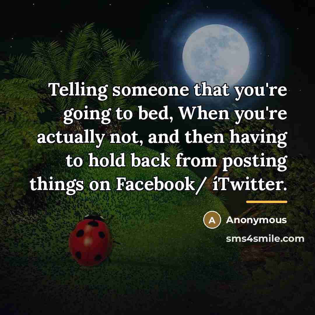 “Telling someone that you're going to bed, When you're actually…” quote by Anonymous