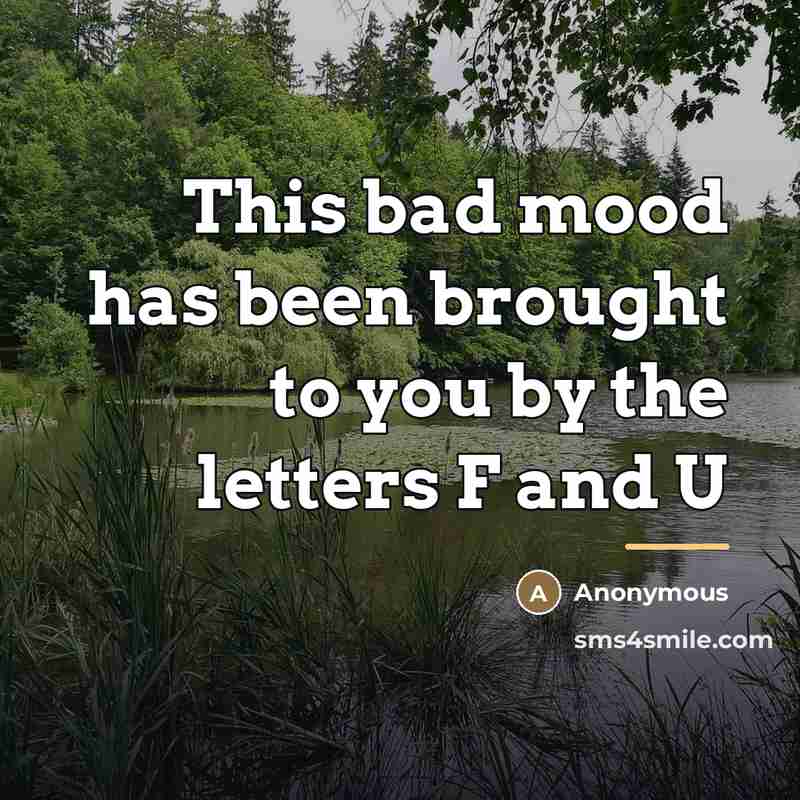 “This bad mood has been brought to you by the…” quote by Anonymous
