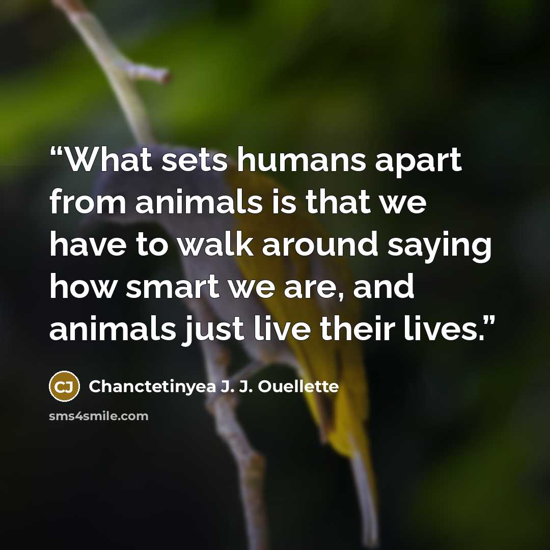 “What sets humans apart from animals is that we have to walk around saying how smart we are, and animals just live their lives.” quote by Chanctetinyea J. J. Ouellette