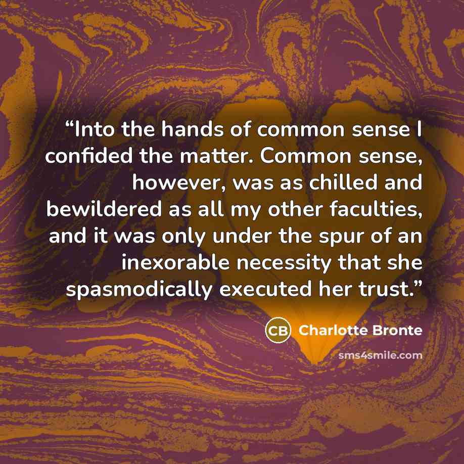 “Into the hands of common sense I confided the matter. Common sense, however, was as chilled and bewildered as all my other faculties, and it was only under the spur of an inexorable necessity that she spasmodically executed her trust.” quote by Charlotte Brontë