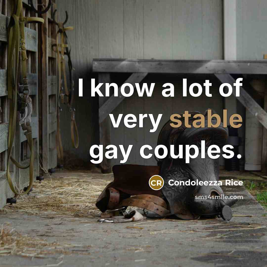 “I know a lot of very stable gay couples.…” quote by Condoleezza Rice