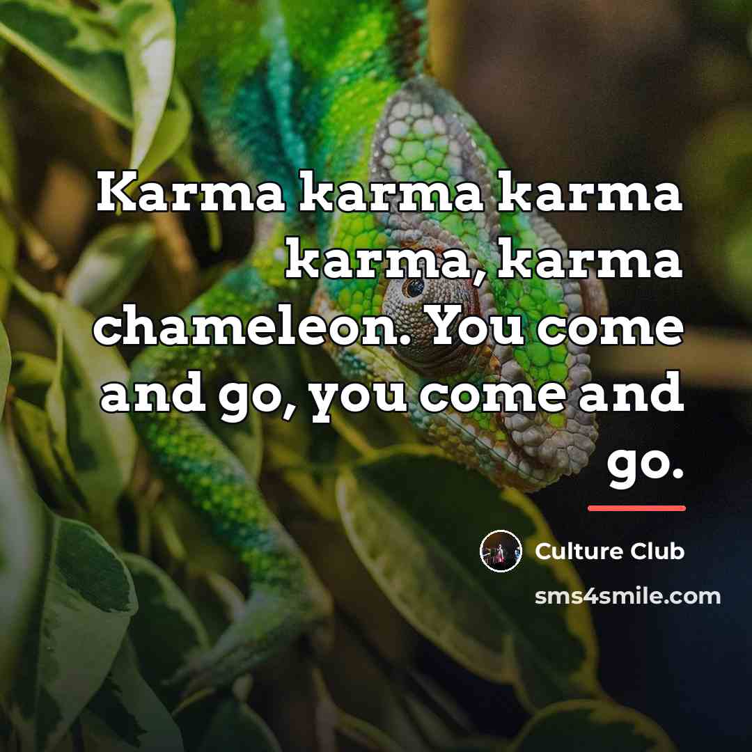 “Karma karma karma karma, karma chameleon. You come and go,…” quote by Culture Club