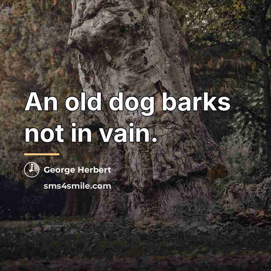 “An old dog barks not in vain.…” quote by George Herbert