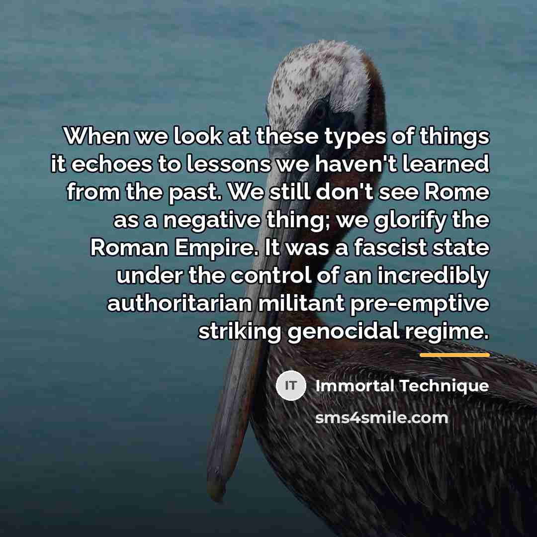 “When we look at these types of things it echoes…” quote by Immortal Technique