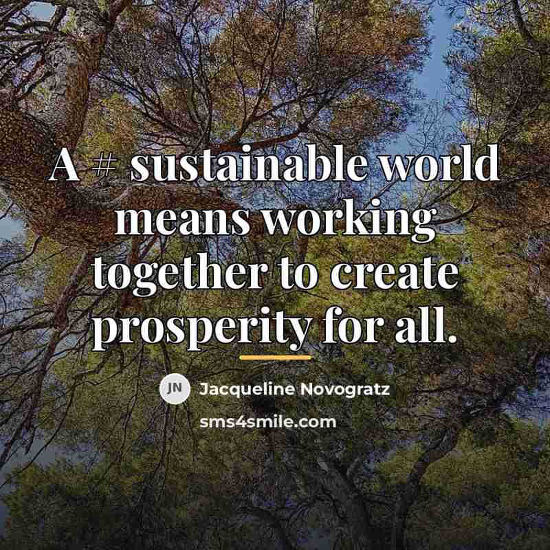 “A # sustainable world means working together to create prosperity…” quote by Jacqueline Novogratz