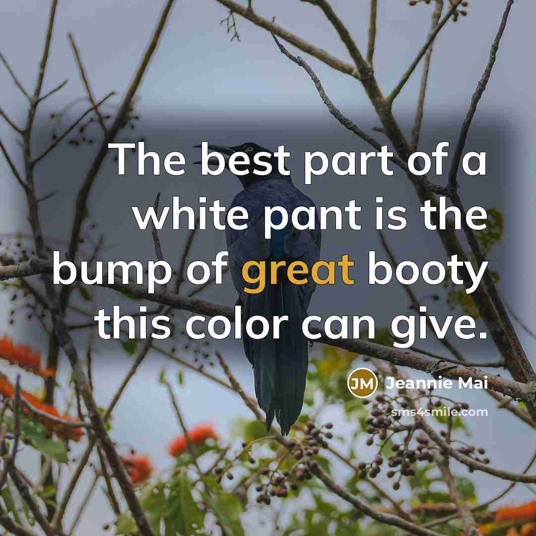 “The best part of a white pant is the bump…” quote by Jeannie Mai