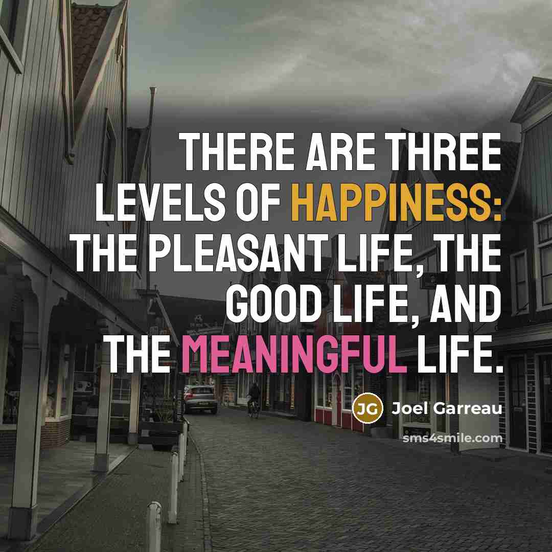 “There are three levels of happiness: the pleasant life, the…” quote by Joel Garreau