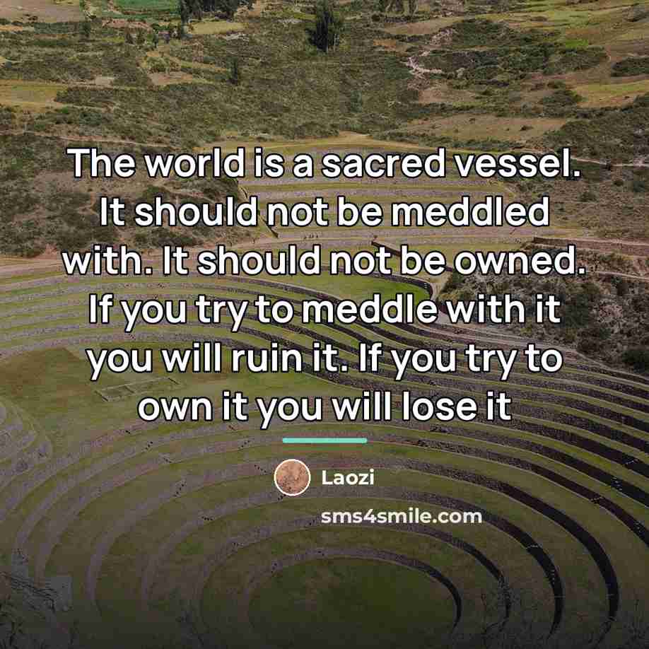 “The world is a sacred vessel. It should not be…” quote by Laozi