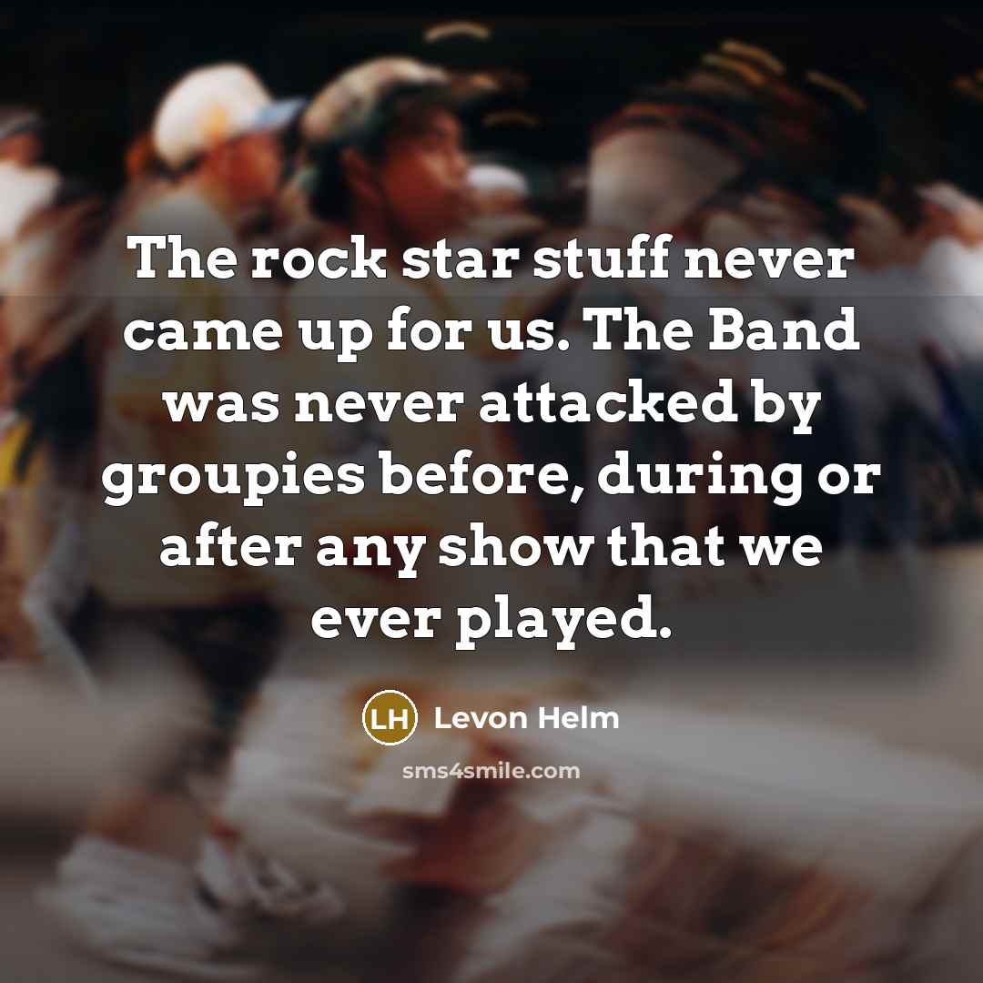 “The rock star stuff never came up for us. The…” quote by Levon Helm