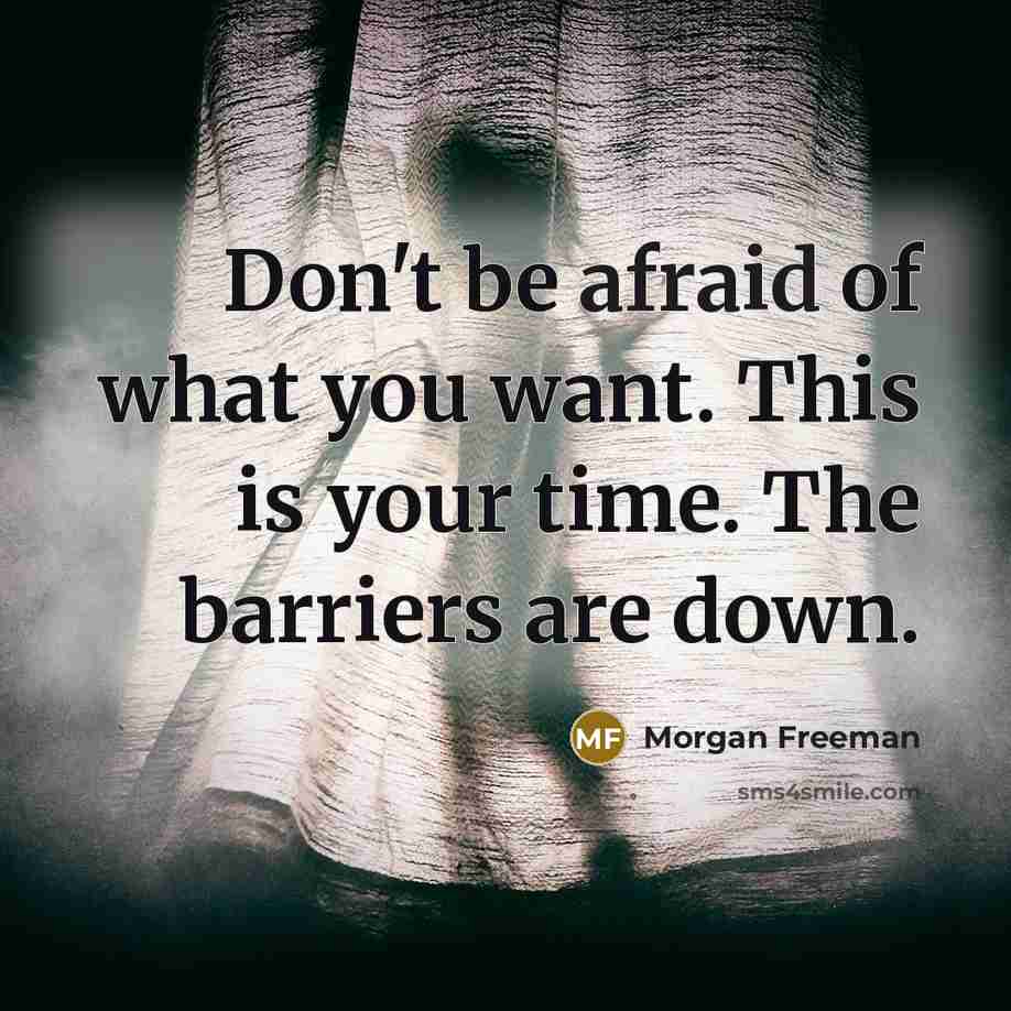 “Don't be afraid of what you want. This is your time. The barriers are down.” quote by Morgan Freeman