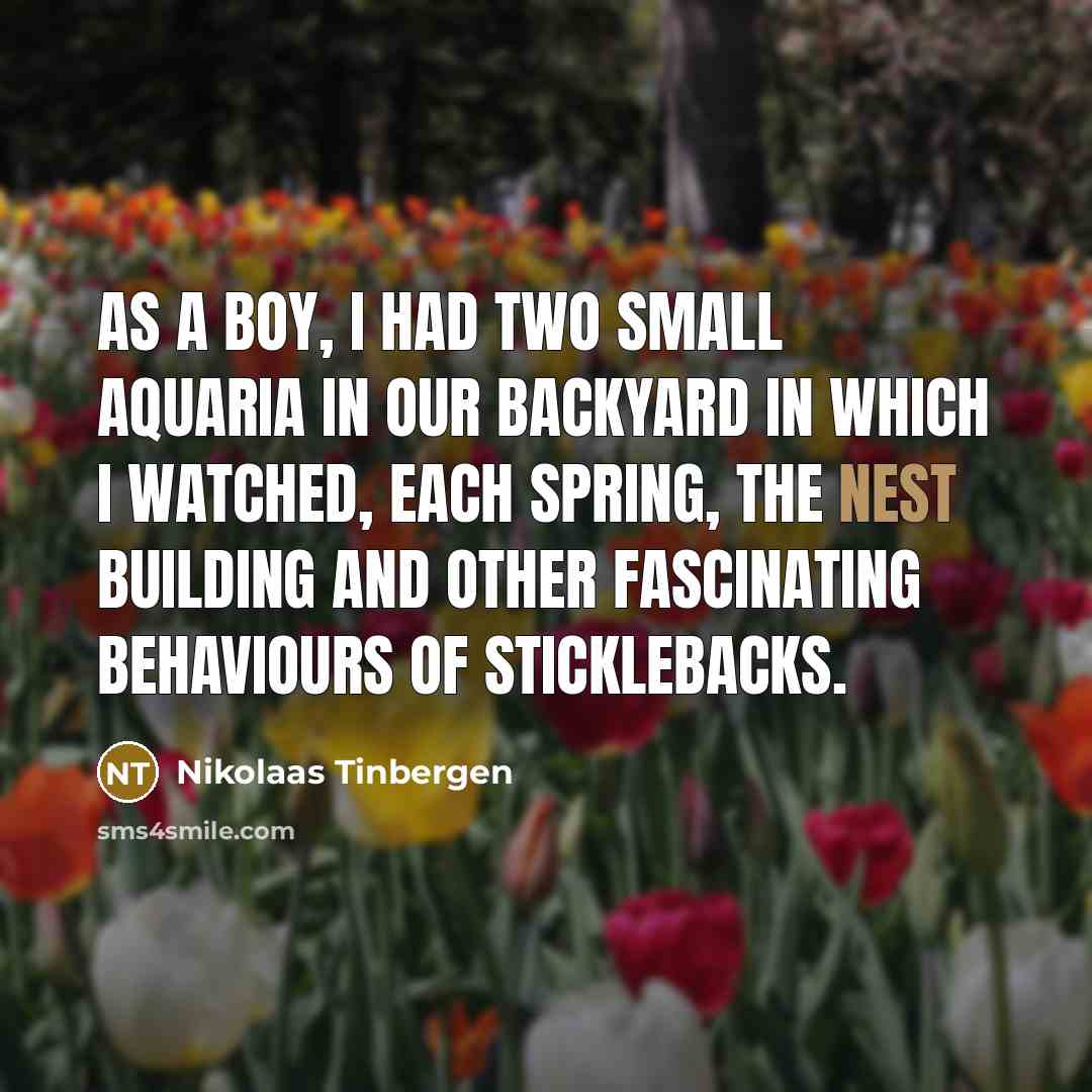 “As a boy, I had two small aquaria in our…” quote by Nikolaas Tinbergen