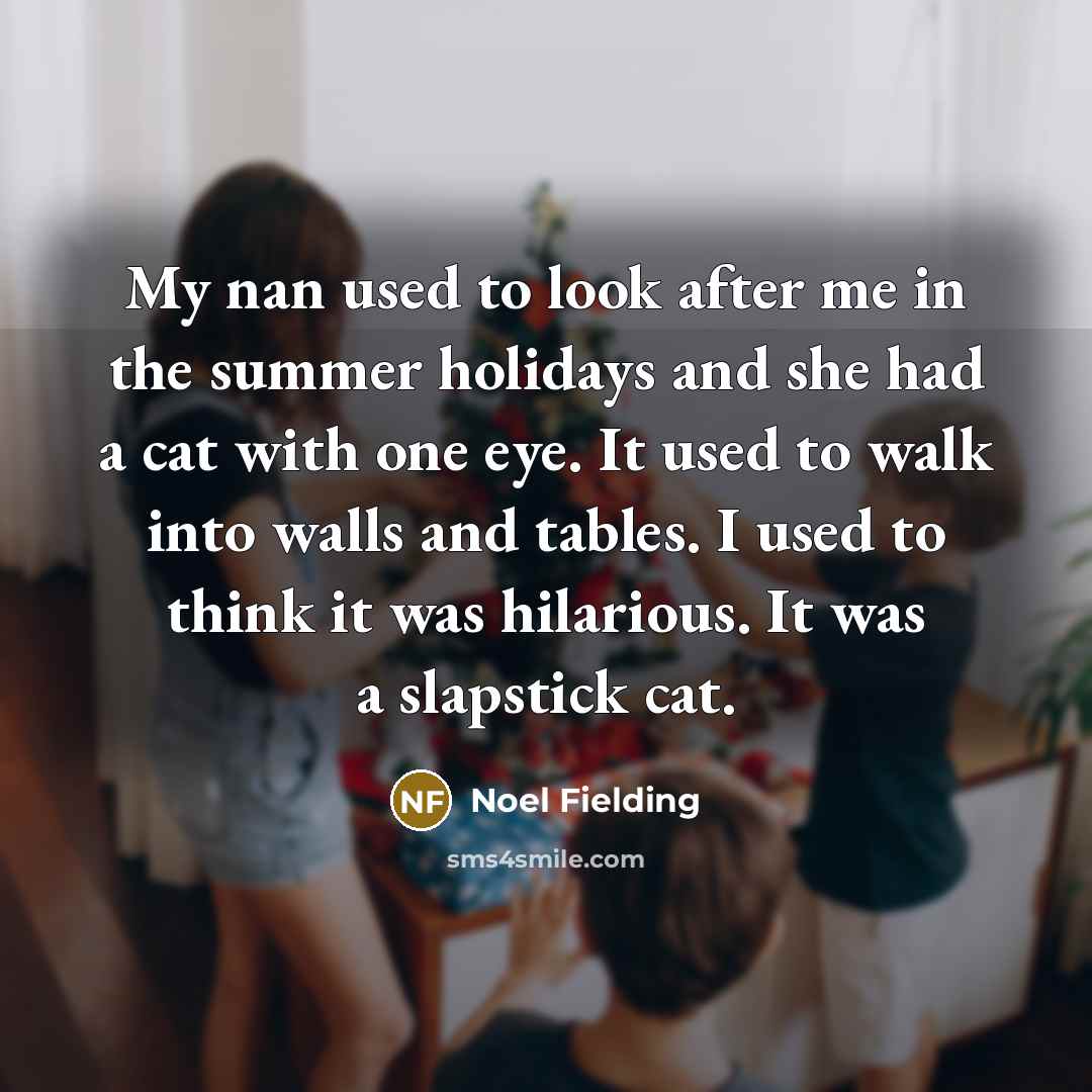 “My nan used to look after me in the summer…” quote by Noel Fielding