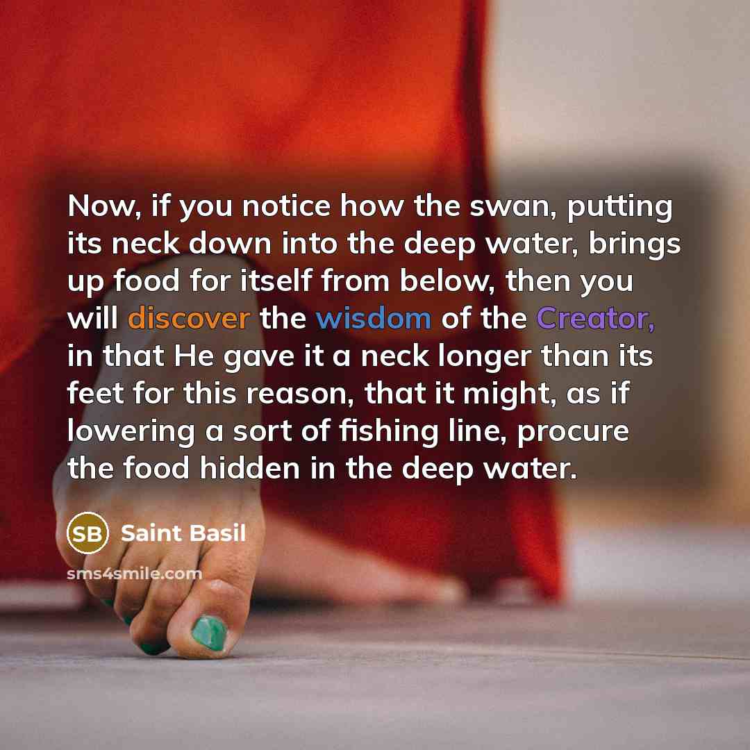“Now, if you notice how the swan, putting its neck…” quote by Saint Basil