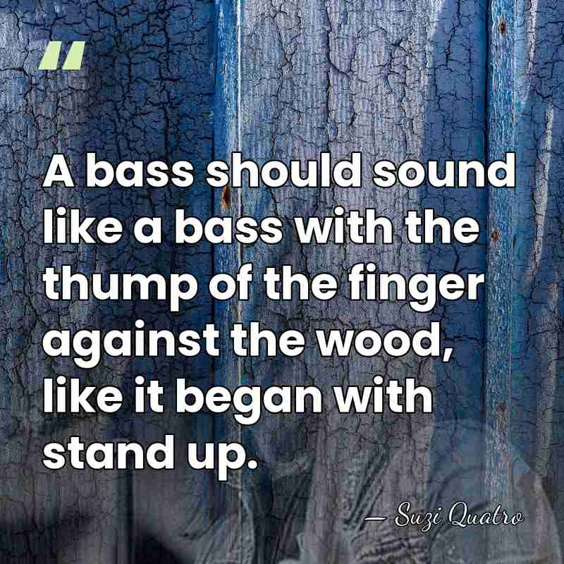 A bass should sound like a bass with the thump of the&hellip; - Suzi Quatro
