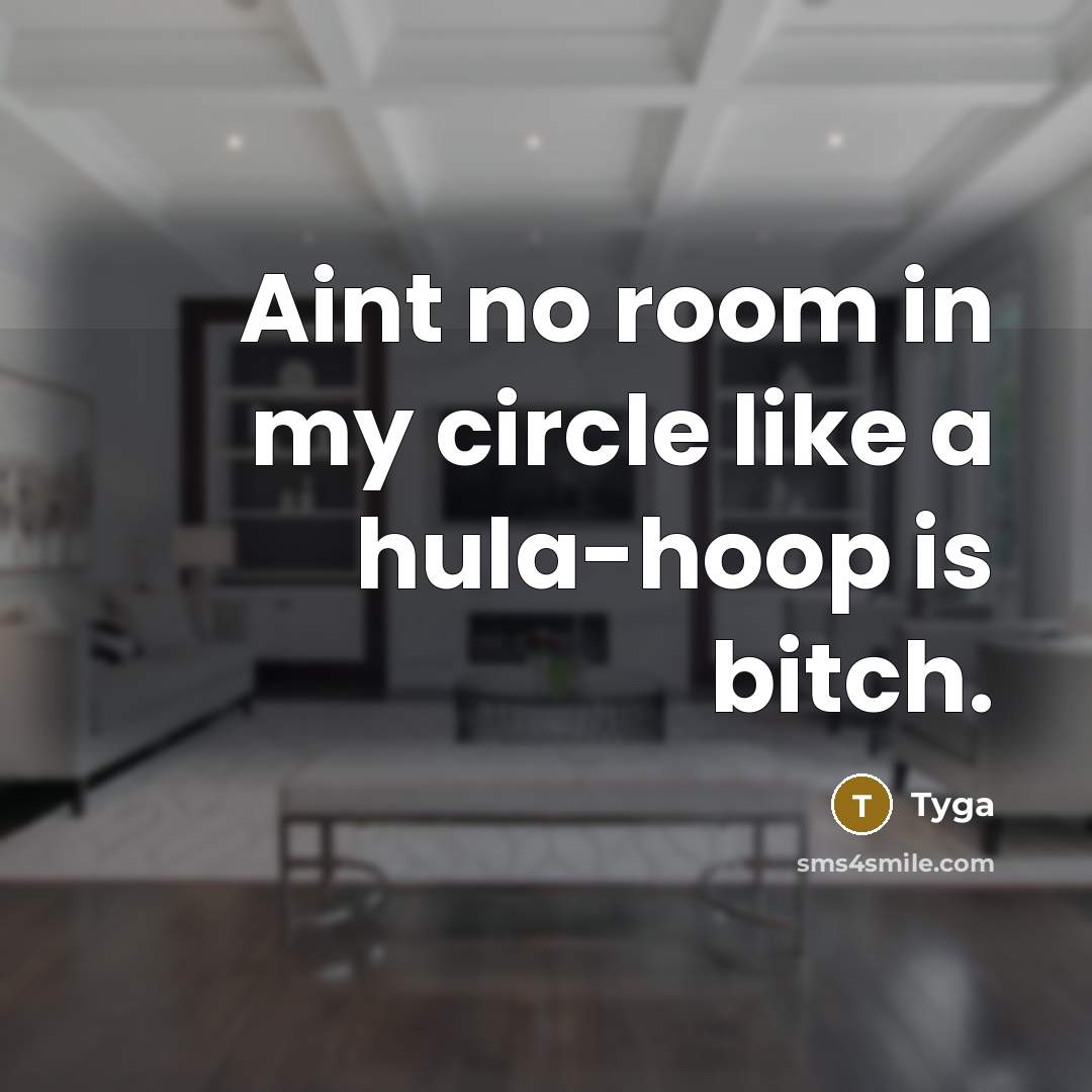 “Aint no room in my circle like a hula-hoop is bitch.” quote by Tyga