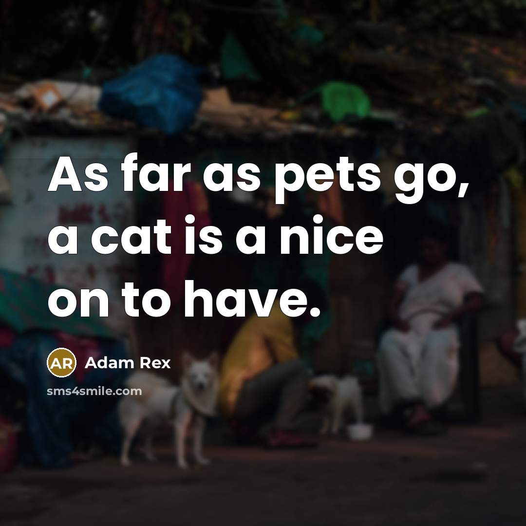 “As far as pets go, a cat is a nice…” quote by Adam Rex