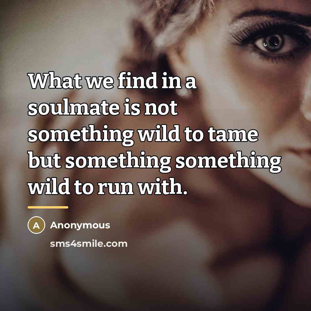 “What we find in a soulmate is not something wild…” quote by Anonymous
