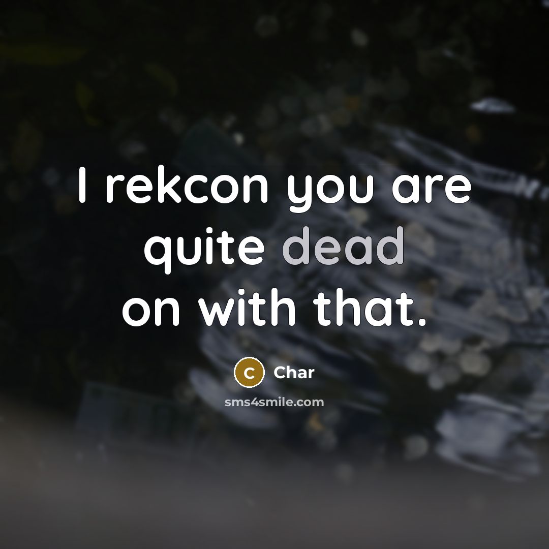 “I rekcon you are quite dead on with that.” quote by Char