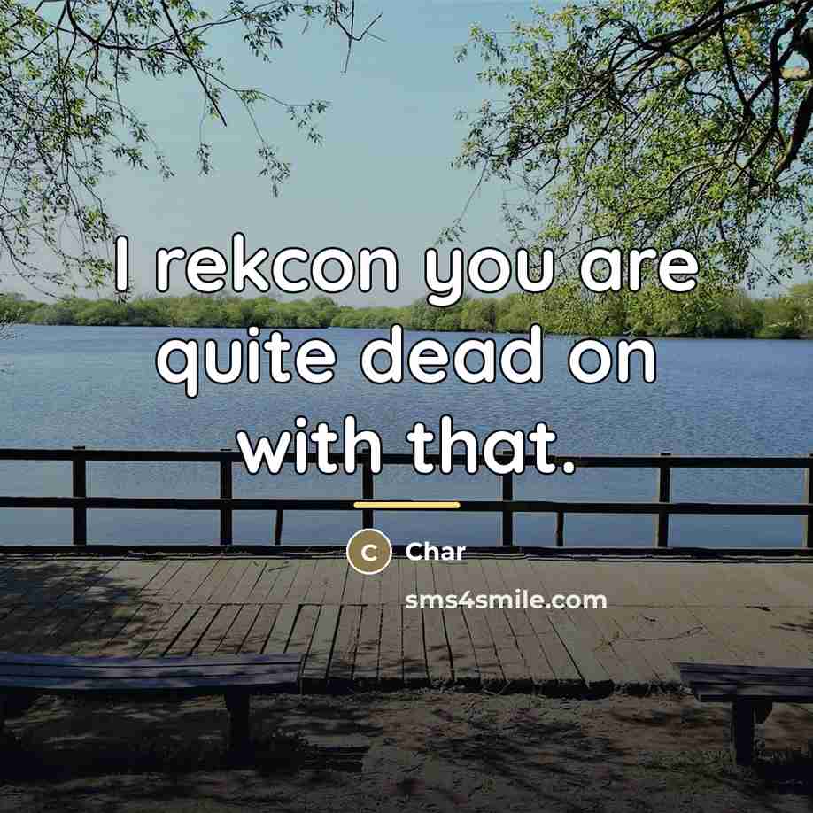 “I rekcon you are quite dead on with that.…” quote by Char