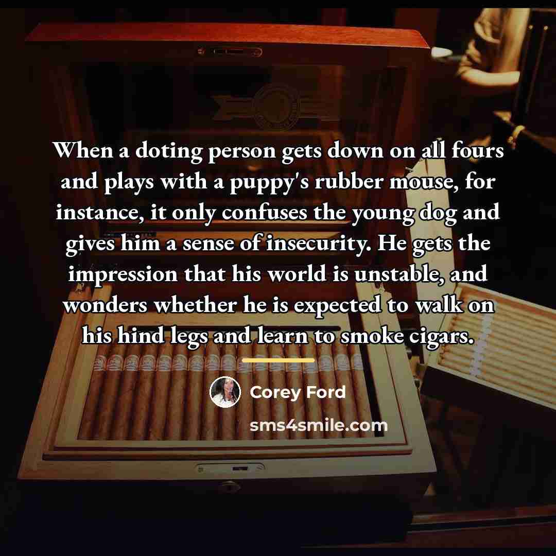 “When a doting person gets down on all fours and…” quote by Corey Ford