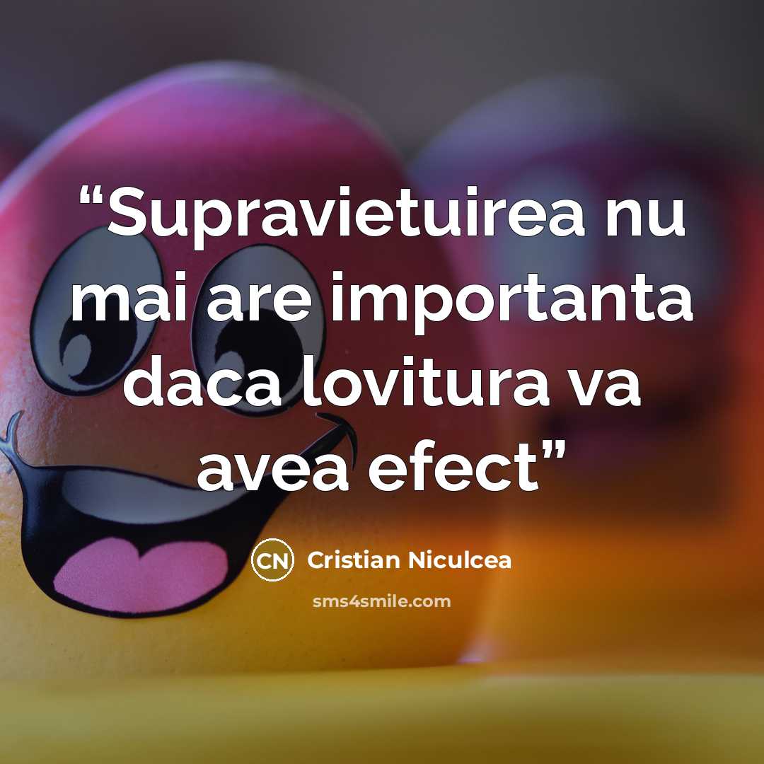 “Supravietuirea nu mai are importanta daca lovitura va avea efect” quote by Cristian Niculcea