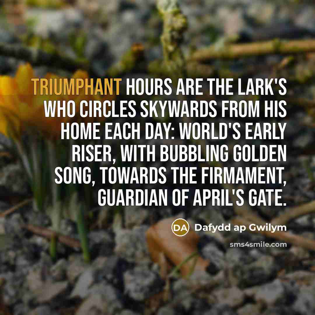 “Triumphant hours are the Lark's Who circles skywards from his…” quote by Dafydd ap Gwilym