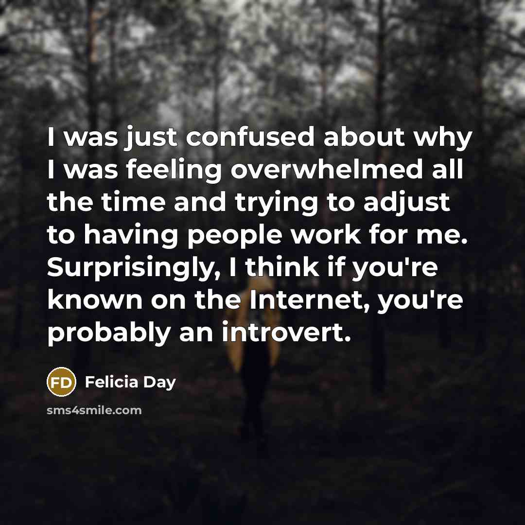 “I was just confused about why I was feeling overwhelmed…” quote by Felicia Day