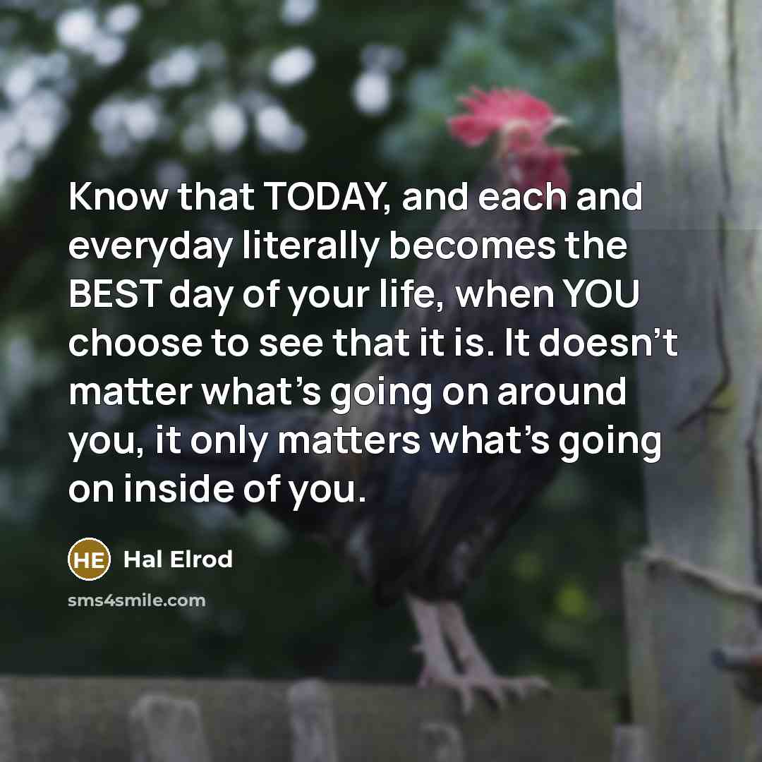 “Know that TODAY, and each and everyday literally becomes the BEST day of your life, when YOU choose to see that it is. It doesn't matter what's going on around you, it only matters what's going on inside of you.” quote by Hal Elrod