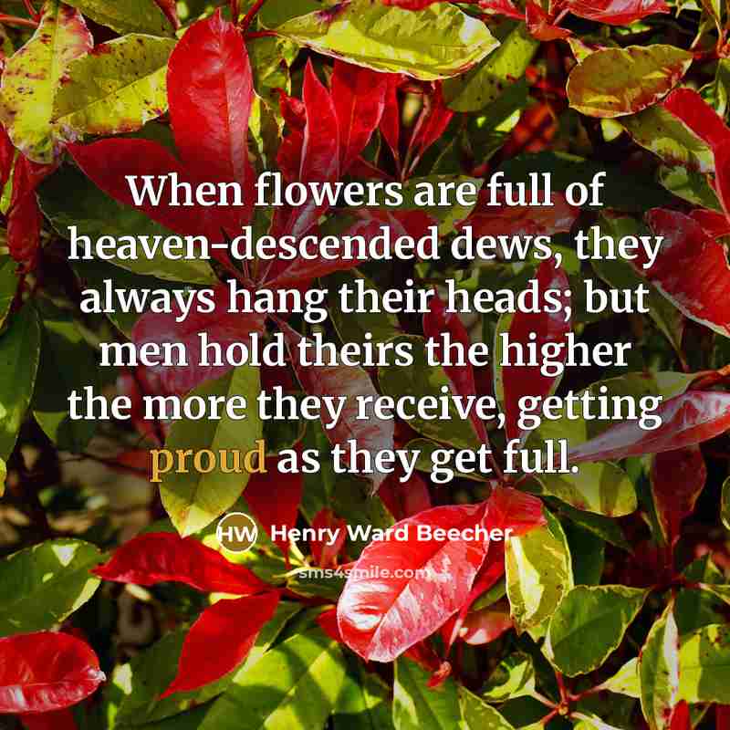 “When flowers are full of heaven-descended dews, they always hang…” quote by Henry Ward Beecher