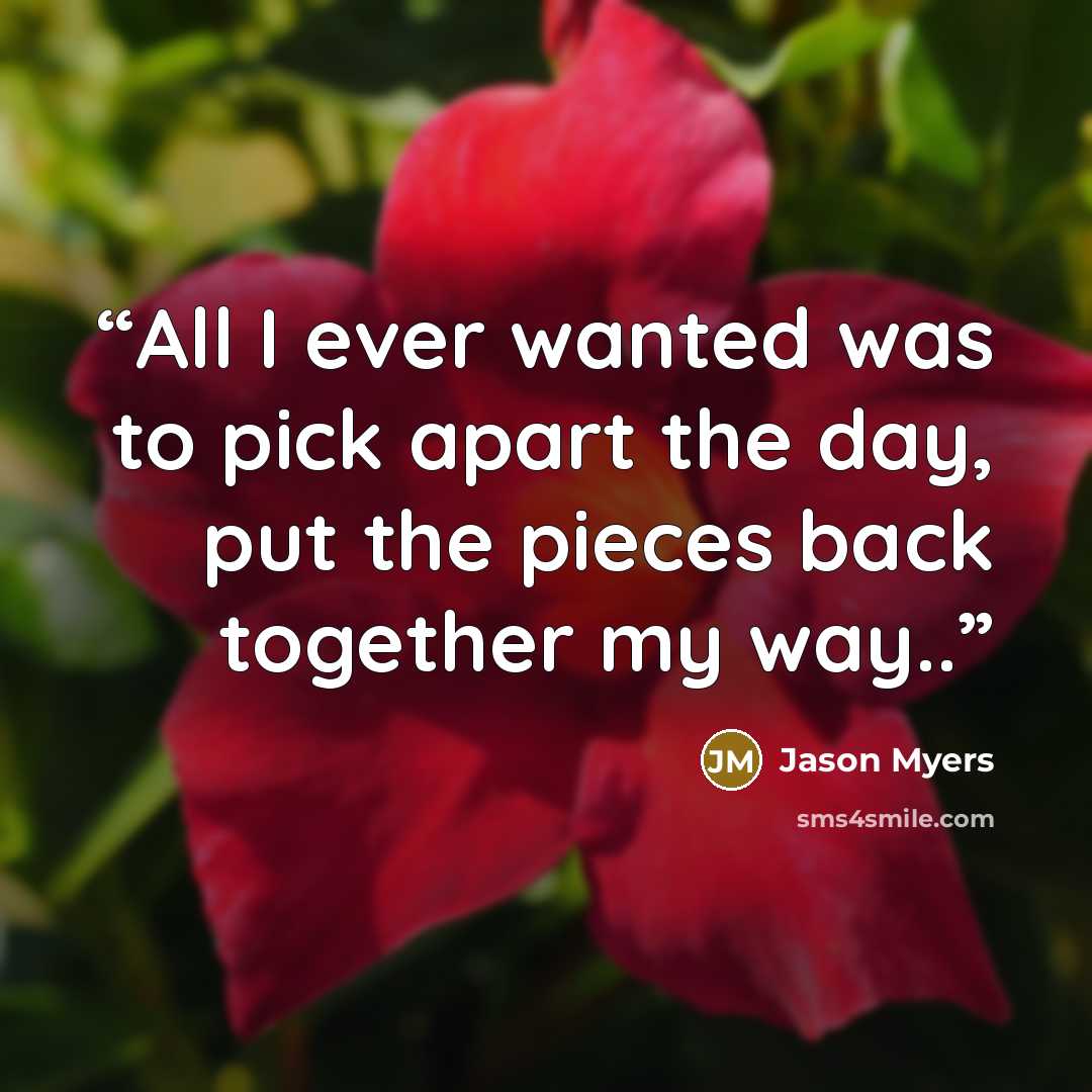 “All I ever wanted was to pick apart the day, put the pieces back together my way..” quote by Jason Myers