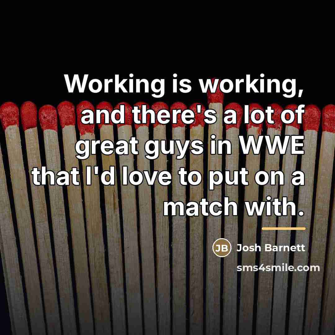“Working is working, and there's a lot of great guys…” quote by Josh Barnett
