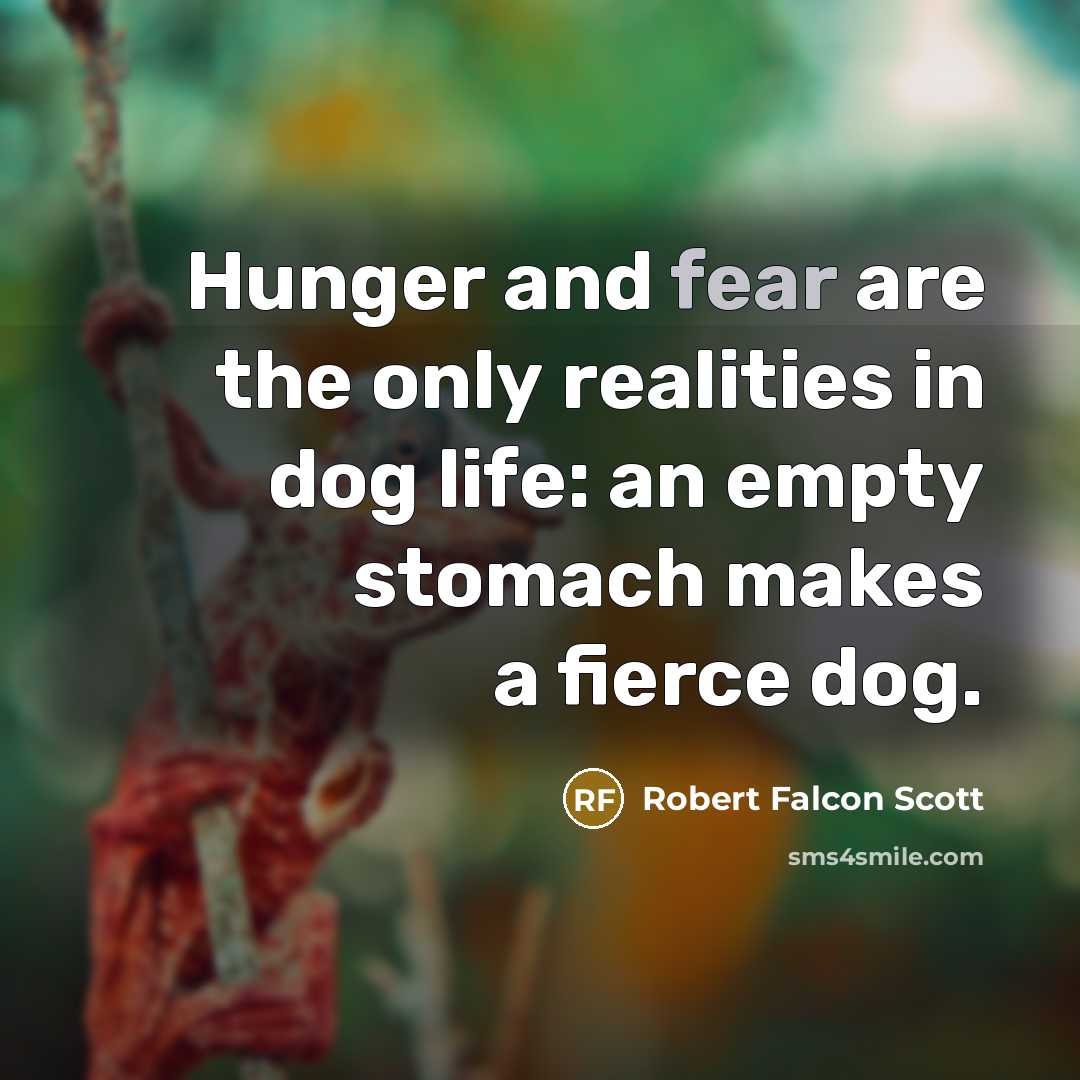 “Hunger and fear are the only realities in dog life: an empty stomach makes a fierce dog.” quote by Robert Falcon Scott